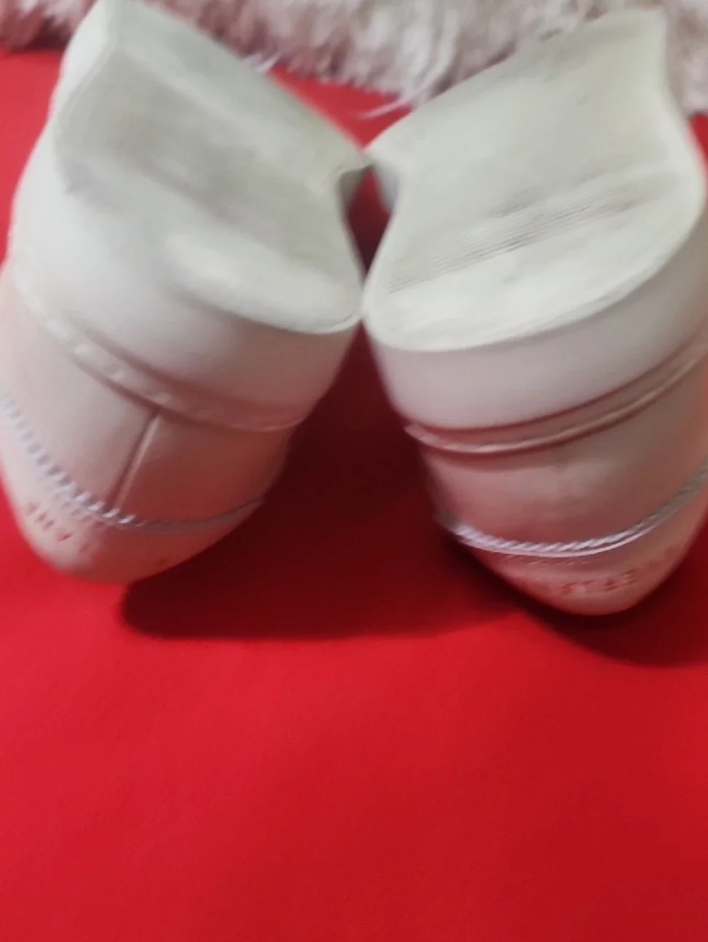 Everlane off white